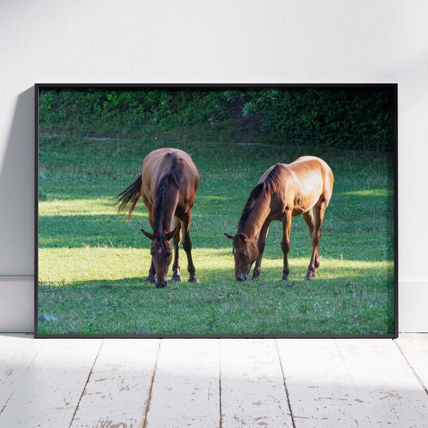 Horse Wall Art Photography. Mare and Foal Horse Grazing in Pasture. Printable Wall Art. Horse Photography. Home Decoration. Digital Download