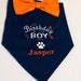 Birthday Dog Bandana,  Dog Birthday Boy Party, new puppy birthday, celebrationbirthday girl/boy party, Photo shoot prop, pets birthday