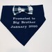 Big Brother, Dog Bandana, Pregnancy Gender Reveal, Personalized, Maternity gender reveal, New Baby, promoted to Big Brother, Baby on the way