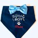 Happy Birthday Dog Bandana,  Dog Birthday Boy Party, new puppy birthday, celebrationbirthday girl/boy party, Photo shoot prop, pets birthday