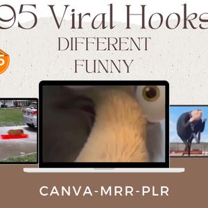 95 Different Funny Viral Hook Video Bundle For All Social Media Instagram Hooks Tiktok Hooks Viral Hook Video Reels Bundle Funny Hooks
