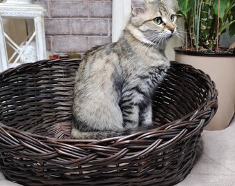 Woven natural vine basket for pets.