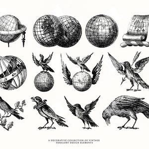 Colección de vectores heráldicos de globos y aves vintage con mapas esféricos, pergaminos y águilas
