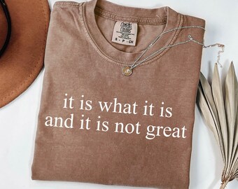 May include: A brown Comfort Colors t-shirt with the text "it is what it is and it is not great" in white. A silver necklace with a pendant and a brown hat are also visible.