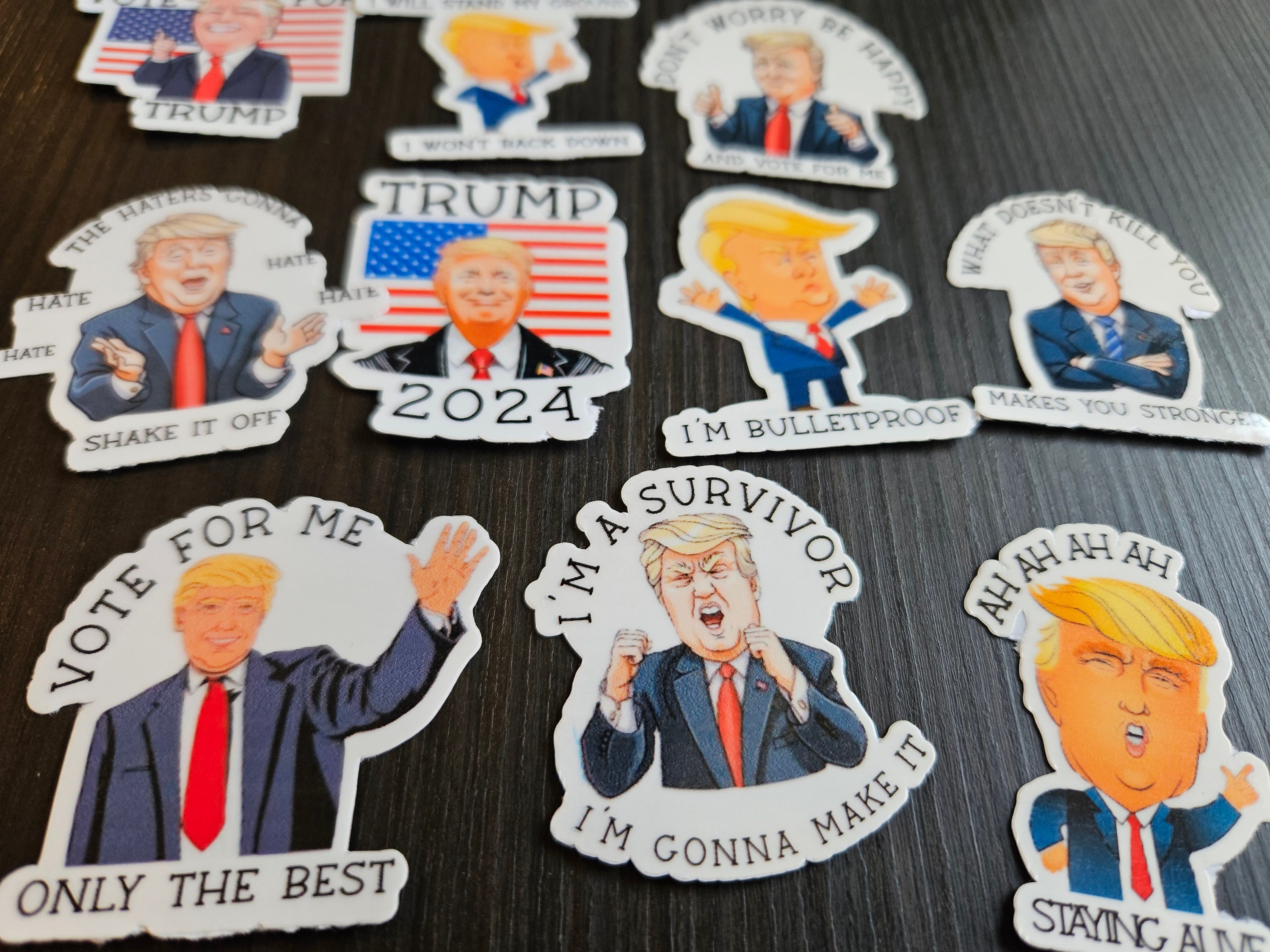 Funny Donald Trump Stickers, 2024 American Election, Sarcastic Cartoon ...
