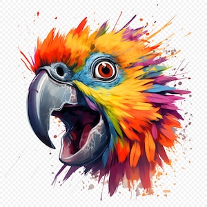 Cute Parrot PNG image, Transparent Background