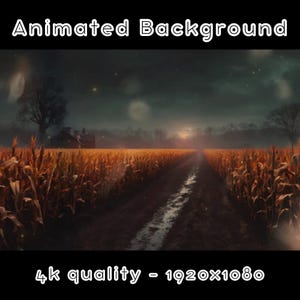 Pode incluir: Um campo de milho escuro e nebuloso com uma estrada de terra que o atravessa. O céu está nublado com um brilho fraco à distância. O texto "4k quality - 1920x1080" está na parte inferior da imagem.