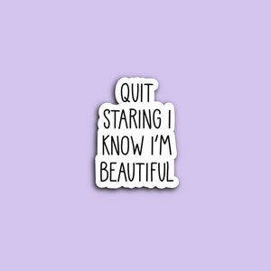 Sassy Quote Stickers for Planners Motivational Sticker for Water Bottle Funny Quote Sticker for Laptop Decoration Positive Affirmation