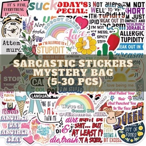 Sarcastic Stickers Grab Bag | 5-30 Pcs Set | Mystery Sticker Set | Mystery Bag | Sticker Surprise | Random Stickers | Funny Stickers