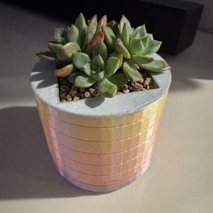 Maceta espiral con impresión 3D (STL) / Minimaceta con autorriego (descarga digital)