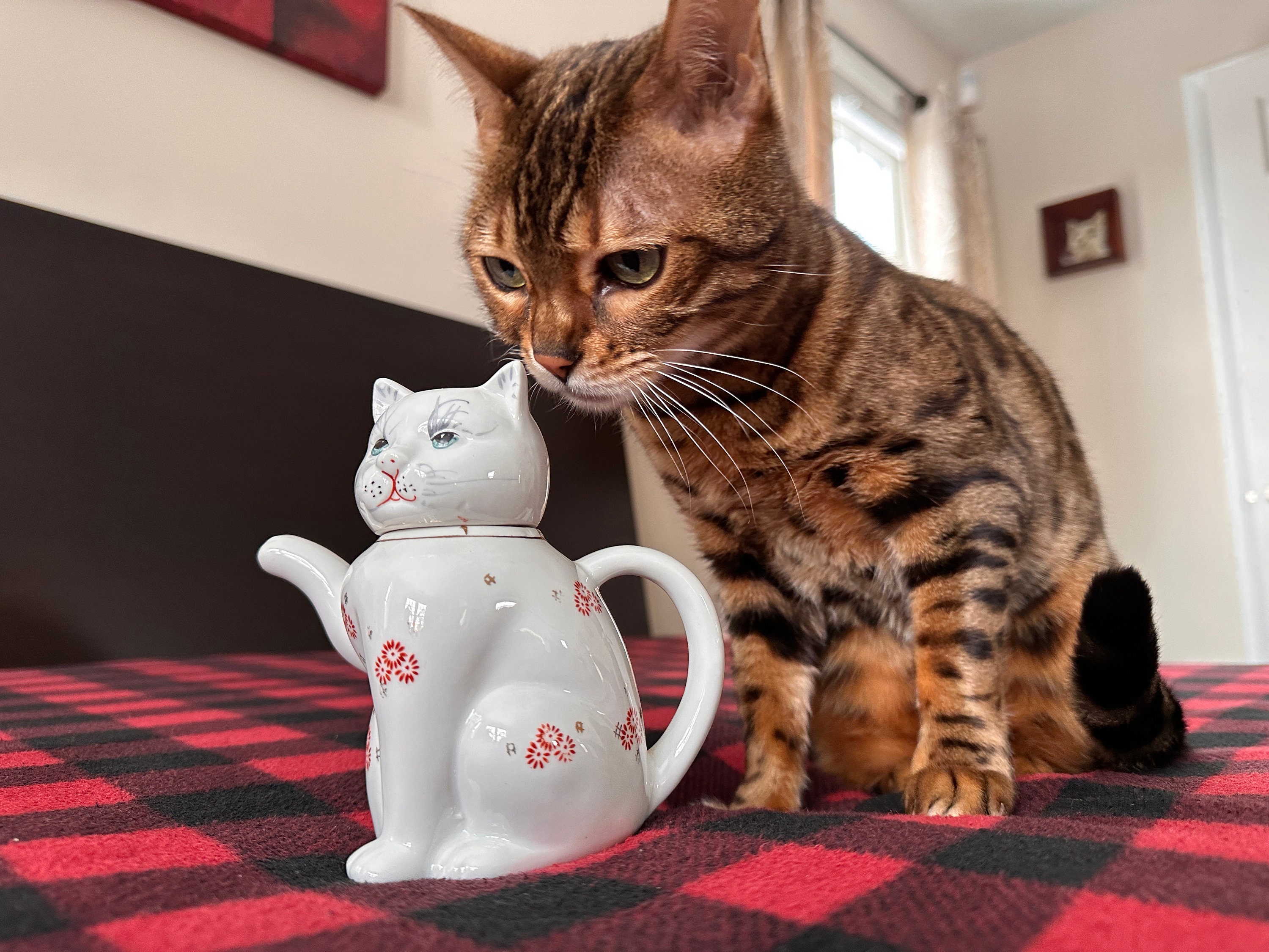 Vintage Cat Teapot / ネコ型ティーポット(brown tie
