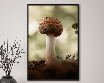 brauner Pilz, Fotografie, Natur, Wandkunst, Poster, Fineart, Druck, Macro, Naturfotografie, Dekor, druckbare Kunst, Wandgestaltung, Fungi