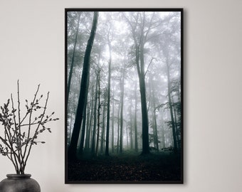 Foresta, nebbia, autunno, fotografia, natura, arte da parete, poster, belle arti, stampa, macro, fotografia naturalistica, arredamento, arte stampabile, design da parete