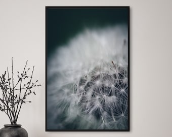 Pusteblume, Blumen, Fotografie, Natur, Wandkunst, Poster, Fineart, Druck, Macro, Naturfotografie, Dekor, druckbare Kunst, Wandgestaltung