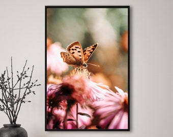 Schmetterling, Fotografie, Natur, Wandkunst, Poster, Fineart, Druck, Macro, Naturfotografie, Dekor, druckbare Kunst, Wandgestaltung, Blume