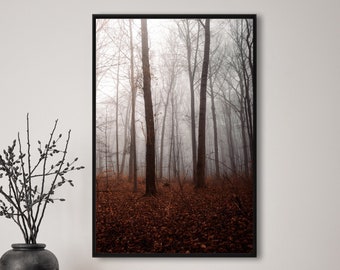 Wald, Nebel, Herbst, Fotografie, Natur, Wandkunst, Poster, Fineart, Druck, Macro, Naturfotografie, Dekor, druckbare Kunst, Wandgestaltung