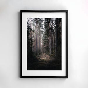 Wald, Fotografie, Natur, Wandkunst, Poster, Fineart, Druck, Naturfotografie, Dekor, druckbare Kunst, Wandgestaltung, Bäume, Poster, moody