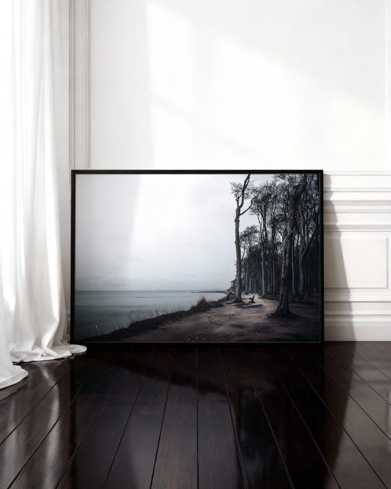 Gespensterwald Ostsee Foto, düstere Natur Fotografie, stimmungsvoller Druck, Ungerahmtes Poster, Landschaftsfotografie, Herbst Wandbild
