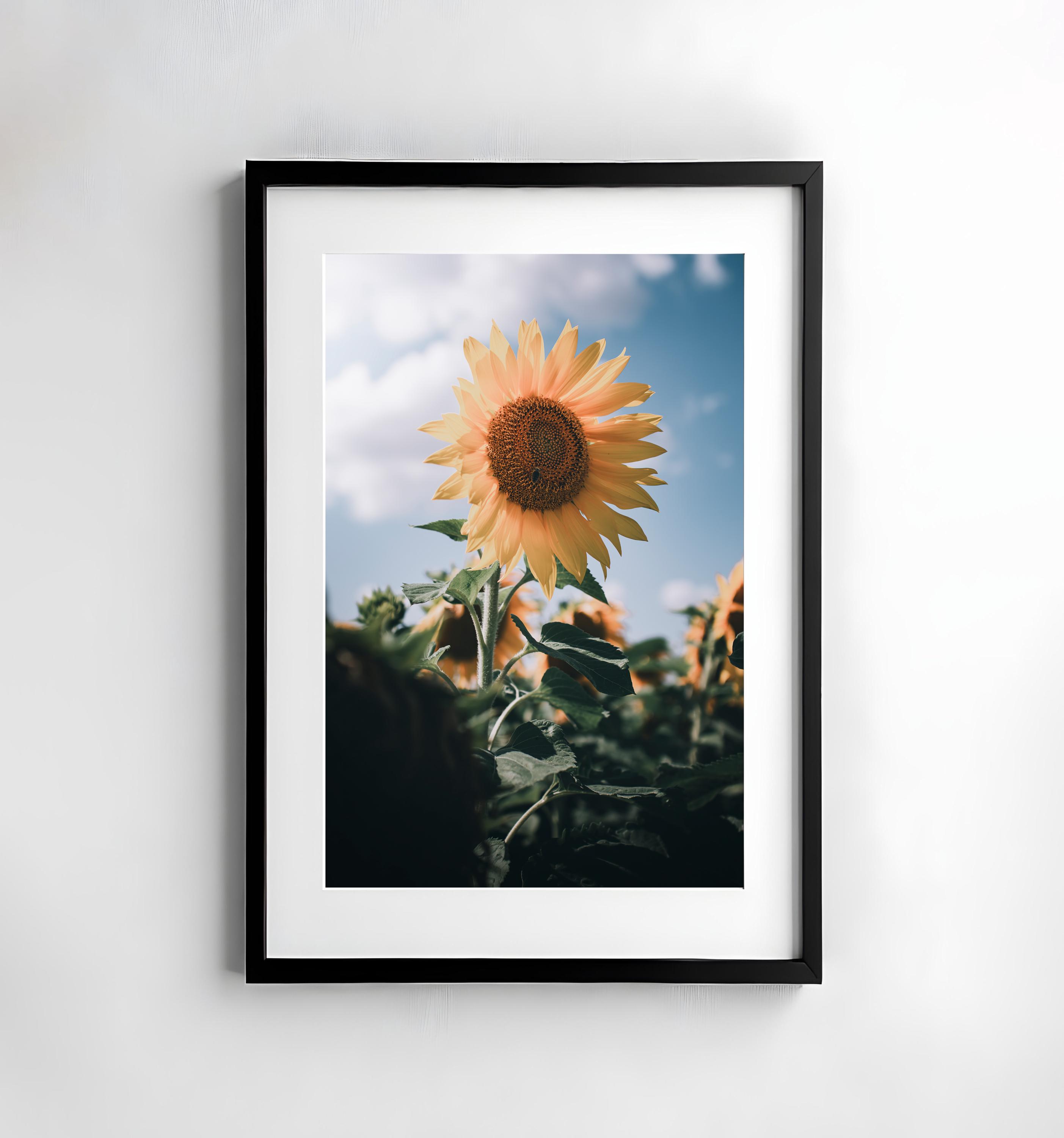 Sonnenblumen bilder - Etsy Österreich, image size:2806x3000