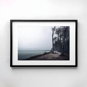 Gespensterwald Ostsee Foto, düstere Natur Fotografie, stimmungsvoller Druck, Ungerahmtes Poster, Landschaftsfotografie, Herbst Wandbild