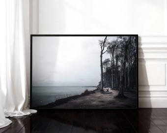 Fotografia de uma floresta assombrada no Mar Báltico – Download digital | Impressão instantânea em paisagem | Pôster com floresta e mar | Imagens da natureza
