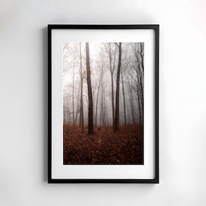 Herbst Nebelwald Kunstdruck, Mystische Wald Fotografie, Hochwertige Wandkunst, Wohnzimmer Dekoration, Naturbild, Fotopapier moody Herbstwald