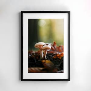 Dos setas, fotografía, naturaleza, arte de pared, cartel, bellas artes, impresión, macro, fotografía de naturaleza, decoración, arte imprimible, diseño de pared, otoño