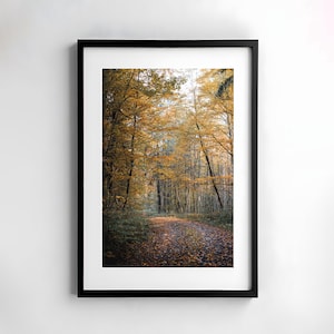 Wald, Fotografie, Natur, Wandkunst, Poster, Druck, Naturfotografie, Dekor, druckbare Kunst, Wandgestaltung, Bäume, Poster, Herbst, Download
