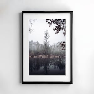 Forest landscape decor, forest pictures to print, poster download forest, landscape photo lake, large wall pictures, atmospheric photography