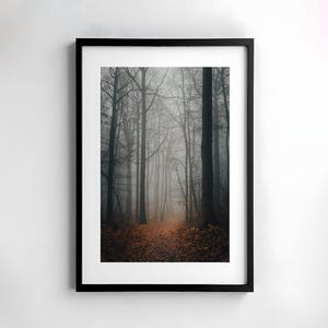 Misty forest, forest photography, autumn picture, trendy wall decoration, forest art, atmospheric forest, instant print, digital forest poster