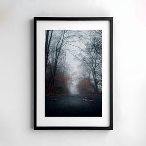Foresta, nebbia, paesaggio, fotografia, natura, arte da parete, poster, stampa, fotografia naturalistica, arredamento, arte stampabile, design da parete, autunno, mistico