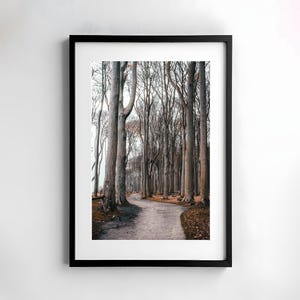 Wald, Fotografie, Natur, Wandkunst, Poster, Druck, Naturfotografie, Dekor, Wandgestaltung, Bäume, Poster, Herbst, Gespensterwald