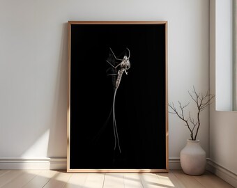 Minimalist nature photography | Insect poster print | Digital download | Black and white photography | Modern wall art | Nature macro photography