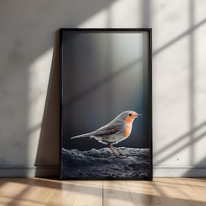 Robin Poster Download, Native Birds Print, Bird Poster, Nature Prints Digital, Robin Decoration, Bird Photography Poster