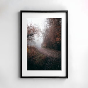 Foresta, Nebbia, Paesaggio, Fotografia, Natura, Arte della parete, Poster, Stampa, Fotografia naturalistica, Arredamento, Arte stampabile, Design della parete, Autunno