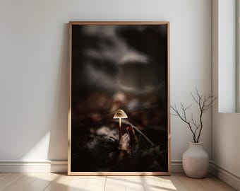 Forest Mushroom Photo Print – Digital Download | Nature Photography | Mystical Mushroom Image | Dark Forest Art | Boho Wall Decor | Digital Print