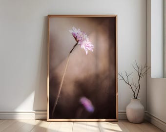 Minimalist photography, flower photo print, nature art, botanical photography, purple flower, living room decoration, plant photography