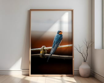 Swallow photography – Digital download | Bird poster print | Wild bird photo prints | Nature wall art | Wildlife poster | Native birds