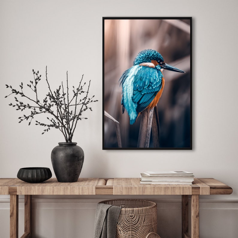 Eisvogel, Vogel, Tiere, Fotografie, Natur, Wandkunst, Poster, Fineart, Druck, Macro, Naturfotografie, Dekor, druckbare Kunst, Wandgestaltung Bild 1