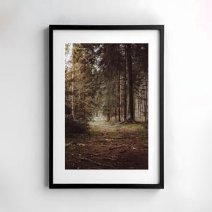 Waldweg Poster Druck, Wald Natur Fotografie, Bilder für das Wohnzimmer, Wald Poster Fineart Druck, große Wandbilder, Natur Landschaft Druck