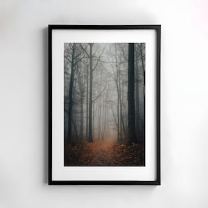 Nebelwald Kunstdruck Herbst, mystische Fotografie, herbstlicher Wald Kunstdruck, moody Fotodruck, Nebel Wald Poster, Mystische Wandbilder