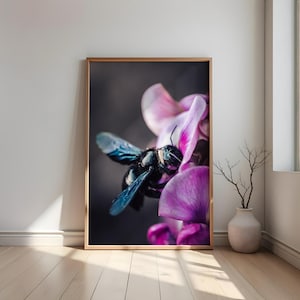 Fotografie van timmermansbijen – digitale download | Macrofoto met insecten | Muurdecoratie met natuurmotief | Bijenfoto's | Direct printen met roze bloesem
