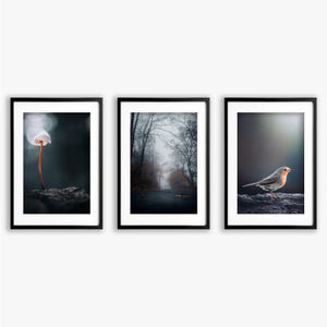 Wall Art Set, Nature Photography Download, Poster Set Living Room, Digital Art, Poster Set of 3, Bedroom Decoration, Forest Fog Print