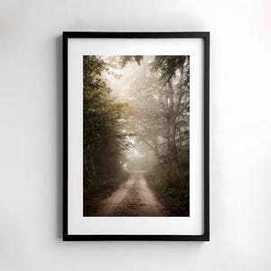 Forest landscape, Magical forest, Forest poster, Green forest, Misty landscape, Digital print landscape, Misty forest photography download