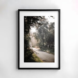 Morgennebel Bilder, Natur Landschaft Druck, Landschaft Poster kaufen, Poster Fotografie Wald, Wanddeko Büro Ideen, Geschenk für einen Freund