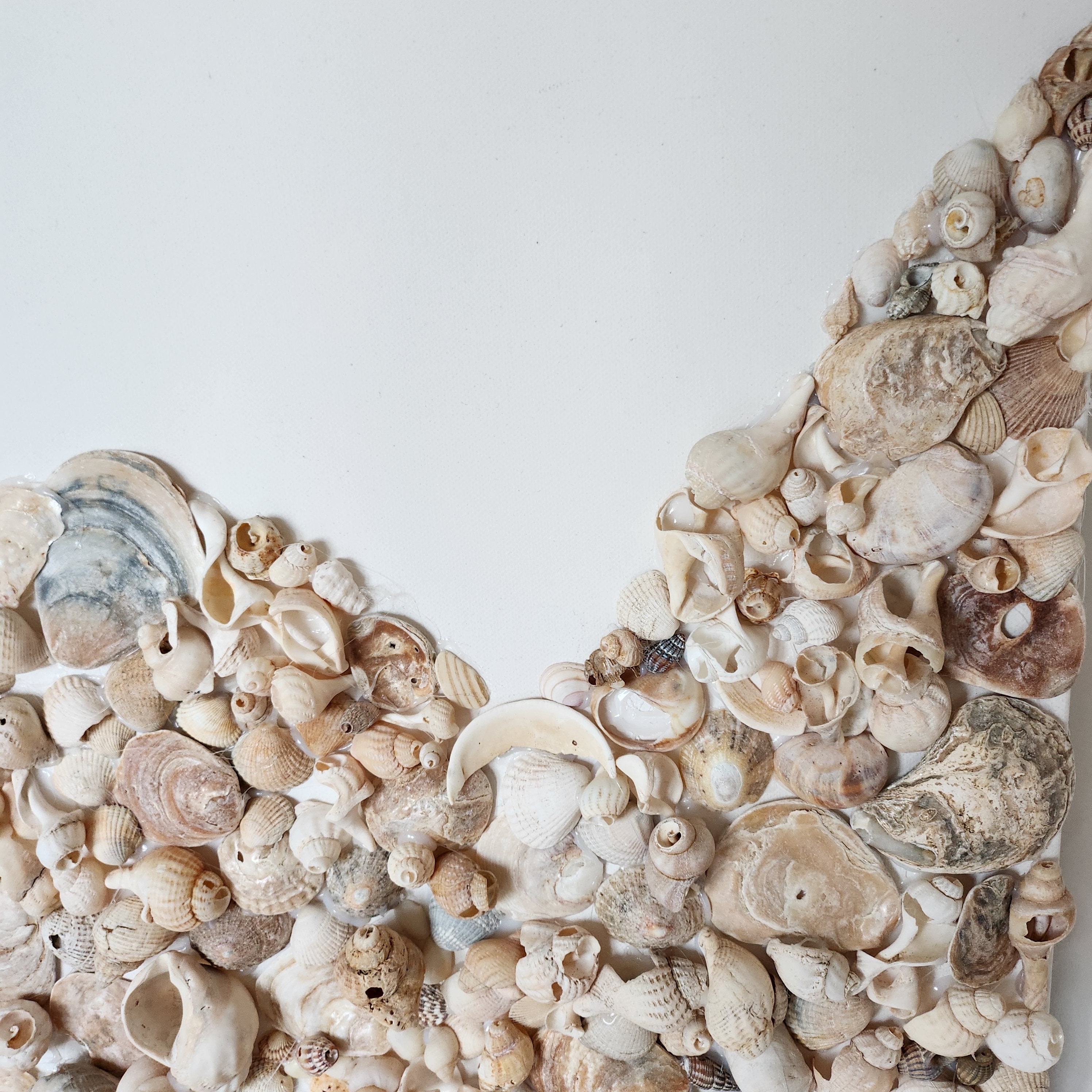 Etsy UK's seashell sales artwork.