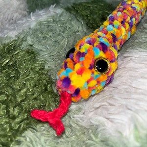Small Rainbow Snake