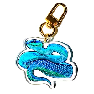 May include: A colourful keychain with a coiled snake design. The snake is in shades of blue and green, with detailed patterns. It has a gold-coloured clasp for attachment.
