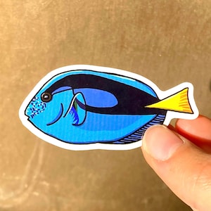 Autocollant Chirurgien Bleu, Autocollant Animal, Autocollants de Poisson, Autocollant Nemo, Fan de Poisson, Autocollant Coloré, Dory