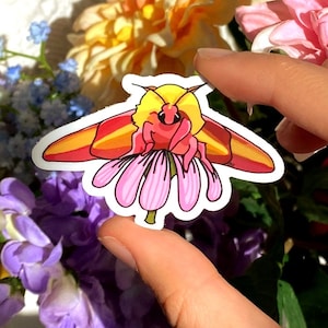 Autocollant Papillon de Nuit, Anistote de l’érable, Autocollant de Animal Unique, Autocollant Papillon, Insecte Mignon, Cadeau Pour Elle